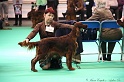 Crufts2011 638